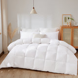 Leeden White Down Alternative Comforter Queen All Season Quilted Bed Comforter Lightweight Duvet Insert with Corner Tabs for Winter Soft and Machine Washable (Queen White)