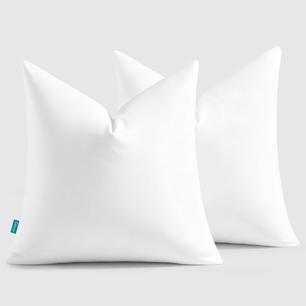 Feather & Down Throw Pillow Inserts