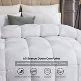 Leeden White Down Alternative Comforter Queen All Season Quilted Bed Comforter Lightweight Duvet Insert with Corner Tabs for Winter Soft and Machine Washable (Queen White)