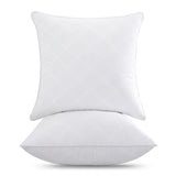 Oubonun 16 x 16 Throw Pillow Inserts Set of 2, Firm and Fluffy Decorative Pillows Inserts, Square Interior White Cushion for Couch Bed Sofa